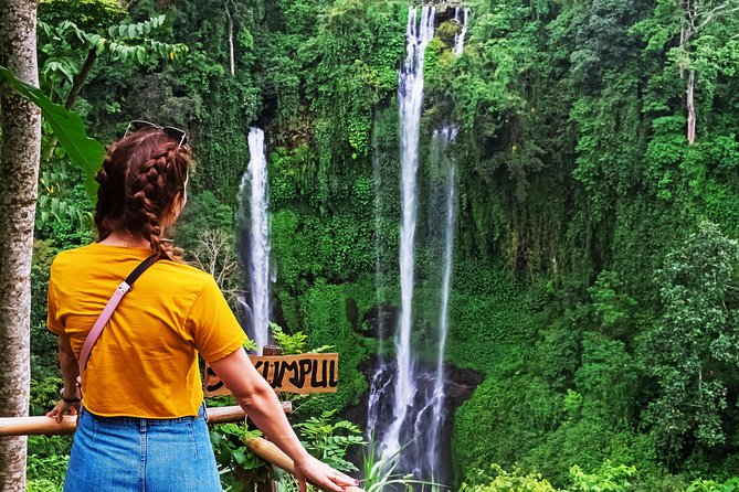 North Bali: Sekumpul Waterfalls and Ulun Danu Temple Tour - Group size and guide vibe: why it can feel personal