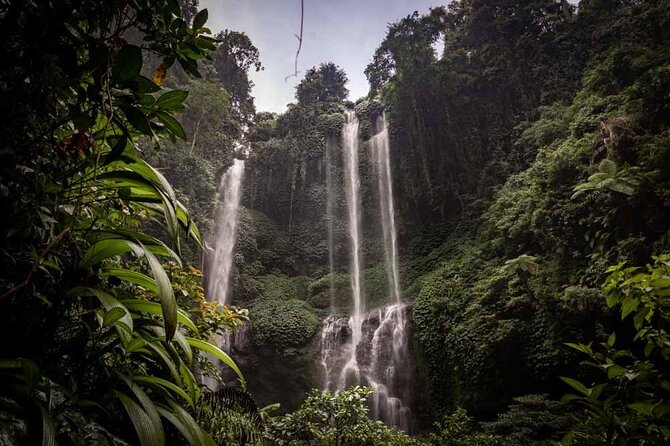 North Bali Tour: Banyumala Waterfall & Wanagiri Hidden Hills - Key Points You’ll Care About