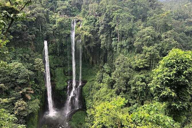 North Bali Tour: Banyumala Waterfall & Wanagiri Hidden Hills - Banyumala Twin Waterfalls: Yellow Water Falls Requires Real Shoes