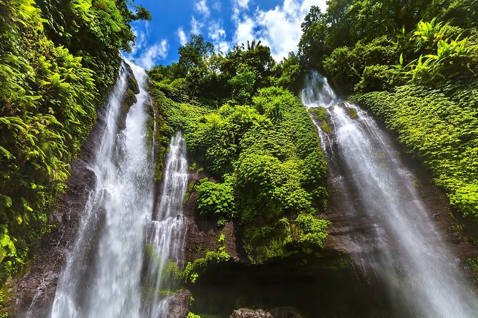 North Bali Tour: Banyumala Waterfall & Wanagiri Hidden Hills - Price and Value Check: Is This a Good Deal?