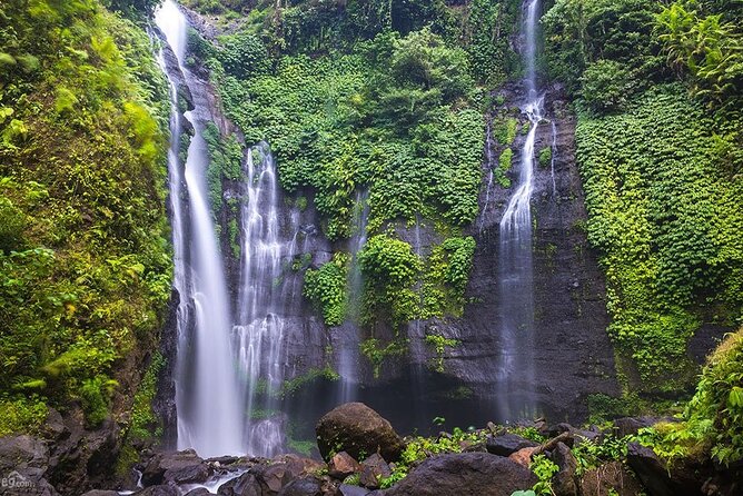 North Bali Tour: Banyumala Waterfall & Wanagiri Hidden Hills - Wanagiri Hidden Hills and the Bali Swing: Why This Munduk Stop Works