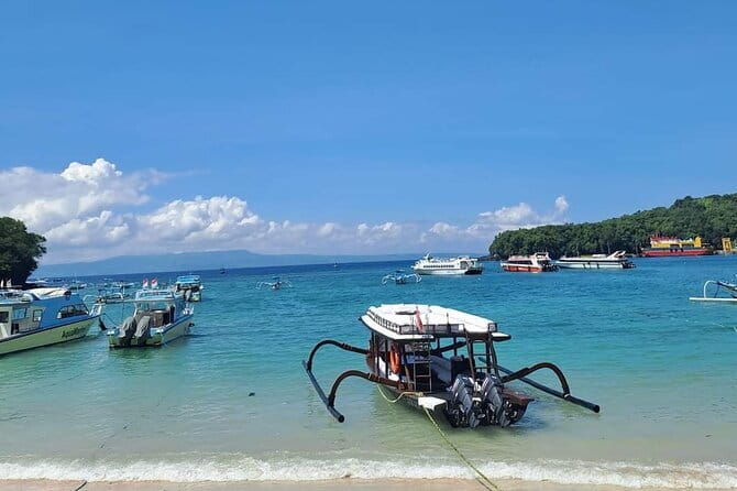 Northern Bali Highlights + Unesco Scenic Heritage Rice Terrace. - Coffee and Chocolate Tasting: A Fun Break From the Road