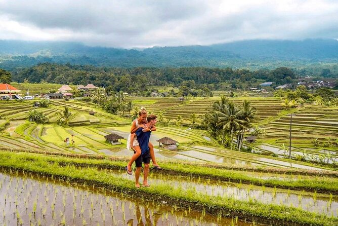 Northern Bali Tour - Private Full Day Tour - All Inclusive - Private Northern Bali Route: pickup, back roads, and a real guide