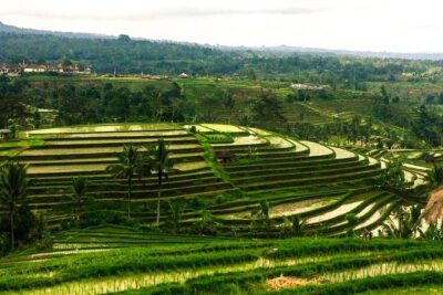 Nungnung Waterfall,Jatiluwih Heritage UNESCO and Bedugul Tour - Stop 1: Nungnung Waterfall and the Best Reason to Start Early