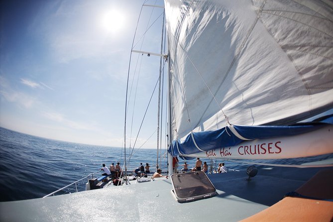 Nusa Lembongan: Island Discovery Cruise - Lunch and drinks onboard: real food beats island improvising