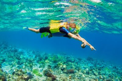 Nusa Lembongan Island: Snorkeling & Mangrove Forest Day Tour - Snorkeling on the coral reef: where your guide makes a difference
