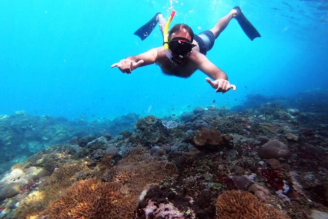 Nusa Penida 4 Spot Snorkeling with Manta and Island Tour - Angel’s Billabong: the Natural Infinity Pool stop (and why it’s short)