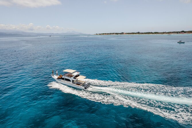 Nusa Penida Full Day Tour by Riki J Yacht 13 meters - SD Point: drift snorkeling where current helps you spot turtles