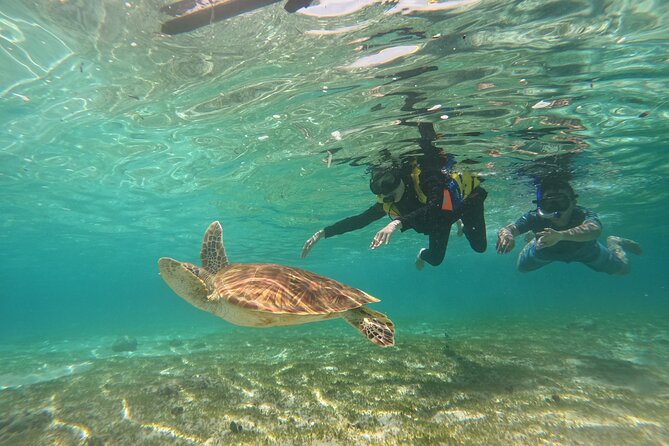 Nusa Penida & Gili Trawangan 3Days 2Night (Snorkeling) - Price and value: what $343 buys in 3 days