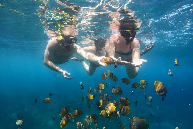 Nusa Penida Island Beach Tours with Snorkeling From Bali - Why Penida’s West Coast Tour Feels Worth It