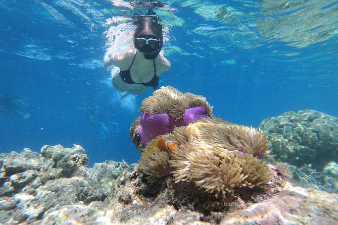 Nusa Penida Island Tour Package With Snorkeling - Key things worth knowing before you go