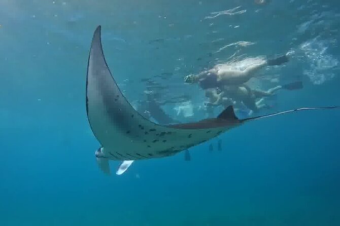 Nusa Penida Land Tour and 4 Points Snorkeling with Manta - Key highlights