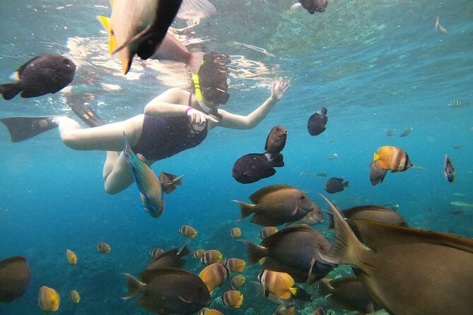 Nusa Penida Land Tour and 4 Points Snorkeling with Manta - Price and logistics: is $58 a fair deal?