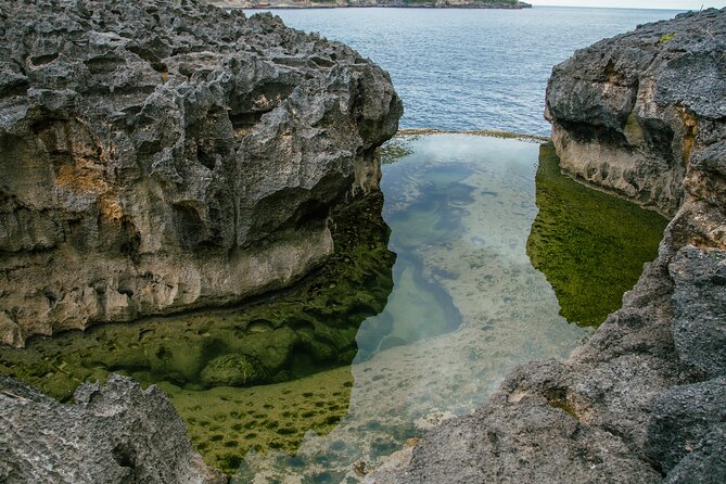 Nusa Penida One Day Trip to Instagrammable Spot by Penidago - Kelingking Beach timing and what makes the views so hard to forget