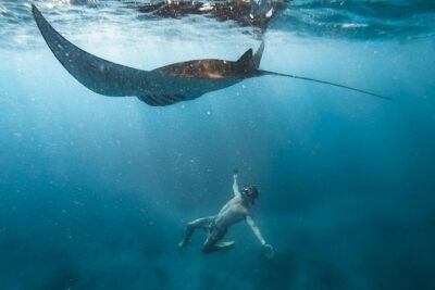 Nusa penida private senorkeling with Manta - Key highlights to know before you go