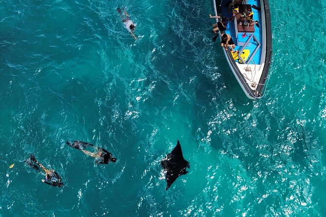 Nusa Penida Private Snorkeling and West Tour Start from Bali - Key highlights at a glance
