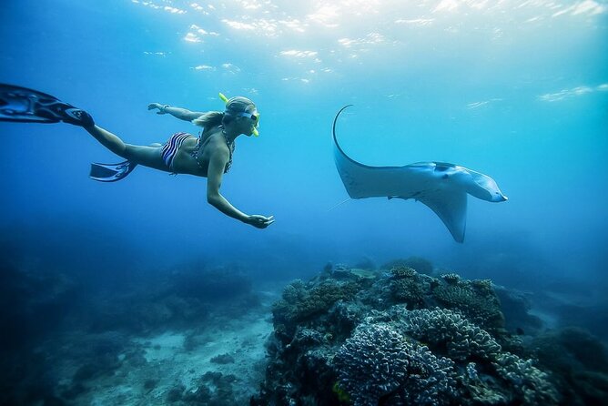 Nusa Penida Private Snorkeling and West Tour Start from Bali - Why this Nusa Penida West Tour feels worth the extra cost