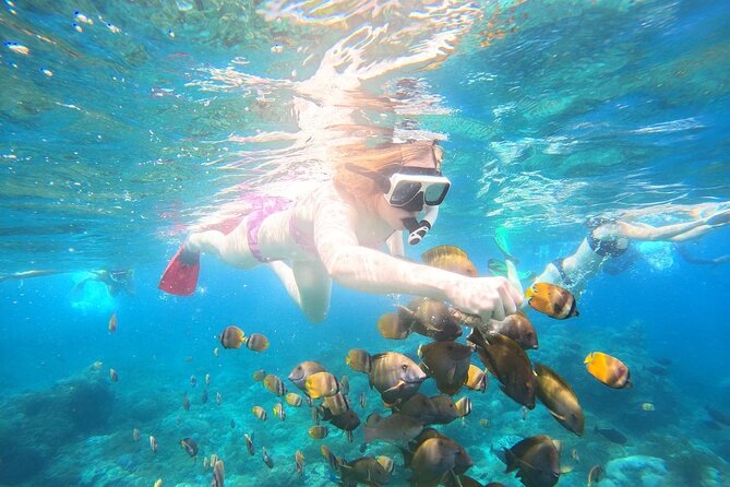 Nusa Penida Private Snorkeling and West Tour Start from Bali - Snorkeling at Manta Bay, Crystal Bay, and Gamat Bay: what to expect