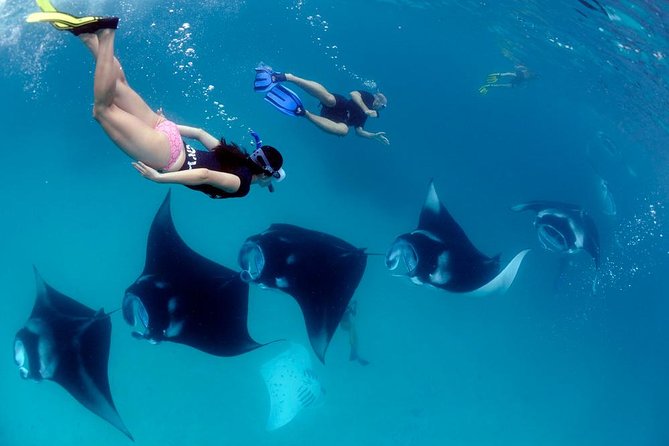 Nusa Penida Snorkeling Adventure (Private & All-Inclusive) - Getting from Bali to Penida: early start, port flow, and speedboat bumps