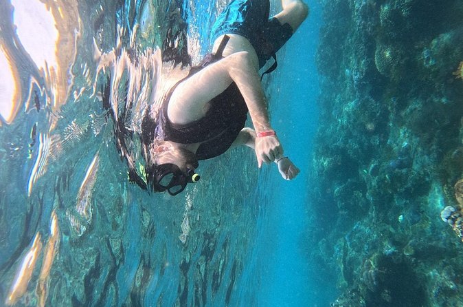 Nusa Penida Snorkeling at Manta Bay and Land Tour (inclusive) - Price and what you actually get for about $53