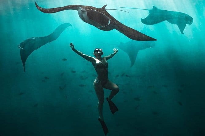 Nusa Penida : Snorkeling Trip Manta Point, Gamat Bay and Wall Bay - Gear, photos/videos, and what you’re really getting