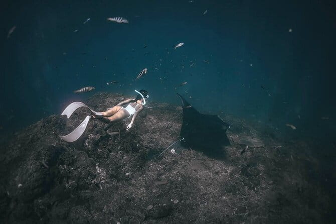 Nusa Penida : Snorkeling Trip Manta Point, Gamat Bay and Wall Bay - Practical things to know before you arrive