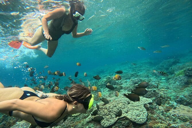 Nusa Penida : Snorkeling Trip Manta Point, Gamat Bay and Wall Bay - Wall Bay Point (and the GT Point backup)