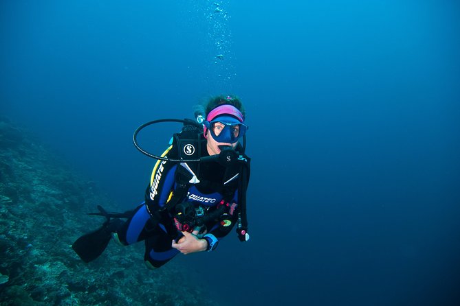 Nusa Penida Three Dives Trip for Certified Divers - Who this trip suits best (and who should think twice)