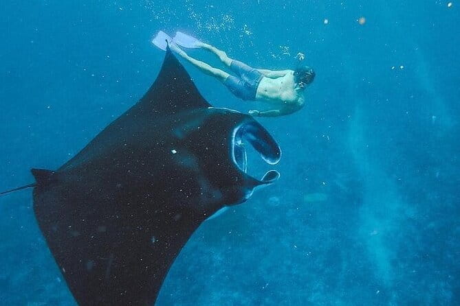 Nusa Penida Tour with Iconic Photography in Kelingking - Kelingking Cliff: iconic shape, steep descent, and smart time use