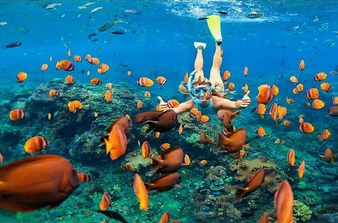 Nusa Penida Trip with Snorkeling all-Inclusive - Pasih Uug Beach: a scenic add-on that keeps the day interesting