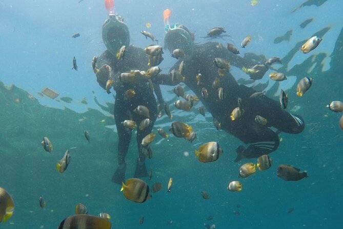 One Day Snorkeling Trip & West Tour Nusa Penida by Penidago - Kelingking Beach at 13:30: the one stop that tends to steal the show