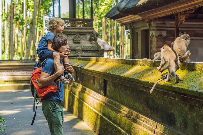 One Day Tour Ubud With Private Guide - Key Highlights You’ll Feel Immediately