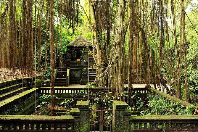 One Day Tour Ubud With Private Guide - Sacred Monkey Forest Sanctuary: Up Close, Then Practical