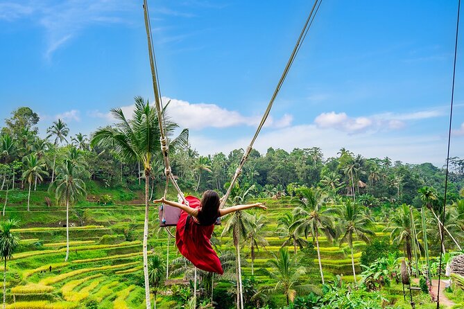 One Day Tour Ubud With Private Guide - Pura Tirta Empul: The Holy Spring Ritual Feels Different Than a Temple Photo Stop