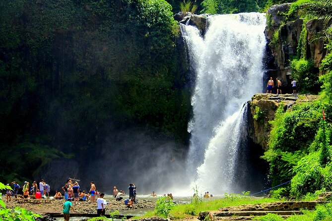 One Day Tour Ubud With Private Guide - Final Waterfall Stop: Ulu Petanu or Tegenungan?