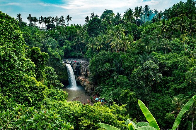 One Day Tour Ubud With Private Guide - Price and Logistics: Why This Value Feels Fair