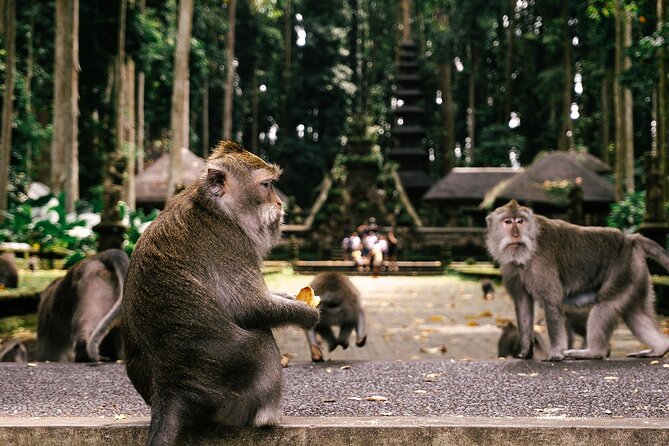 One Day Tour Ubud With Private Guide - Tegalalang Rice Terraces and the Optional Swing: Walk the Fields, Don’t Just Pose