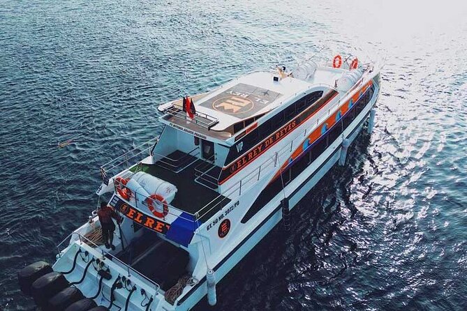 One-way Ticket Fast Boat from Sanur Bali or Nusa Penida - Angel Billabong Fast Boat vs El Rey Fast Cruise: which one fits your day