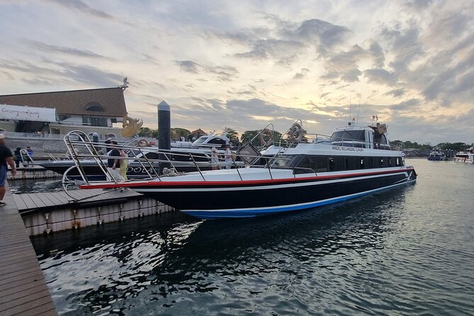 One-way Ticket Fast Boat from Sanur Bali or Nusa Penida - Picking the right departure: Sanur times that match your Penida plans