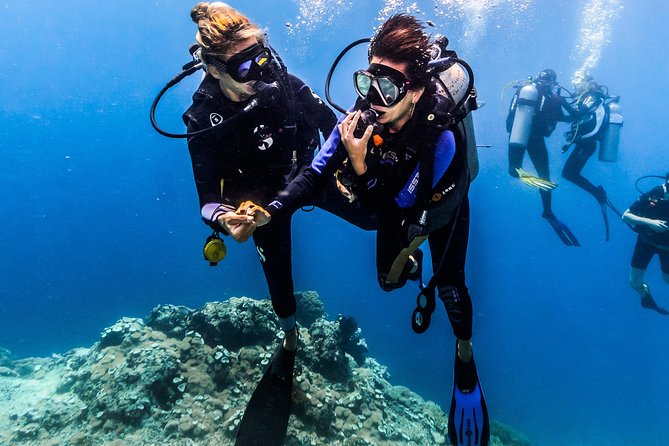 Open Water Course in Nusa Lembongan - Get Certified on remote island (next Bali) - Price and Value for $461.48 per Person