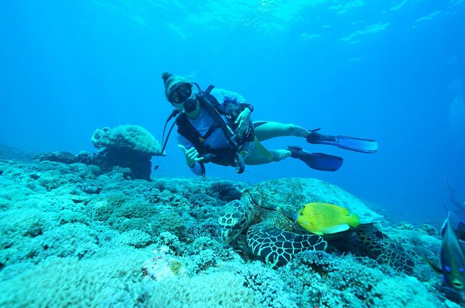 PADI Open water Course in Lembongan - Get certified & dive anywhere in the world - Safety and instructors: what repeatedly shows up in the best experiences