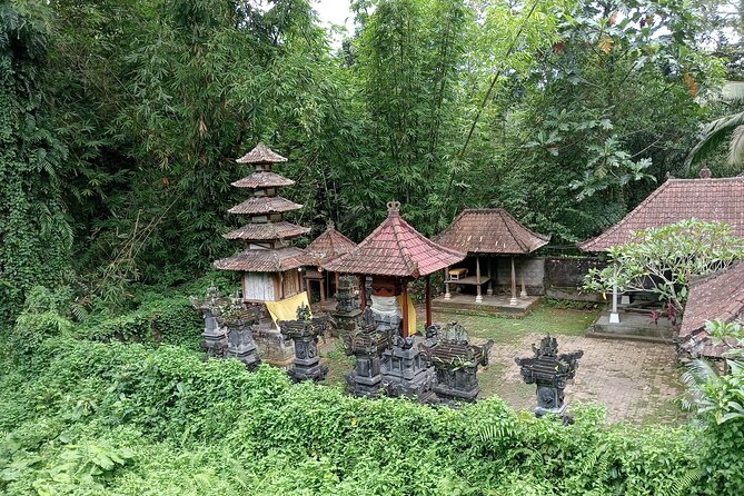 Penglipuran Village Waterfall Swing Private Guided Tour - Kemenuh Monkey River: Forest Walk Feel, Real Animal Watching