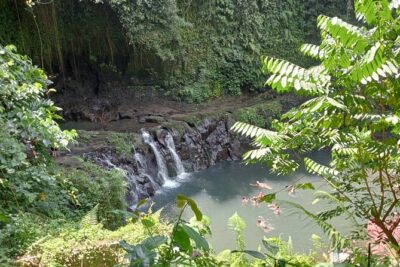 Penglipuran Village Waterfall Swing Private Guided Tour - Pickup From Seminyak: Private A/C, English Guide, and On-the-Day Flex