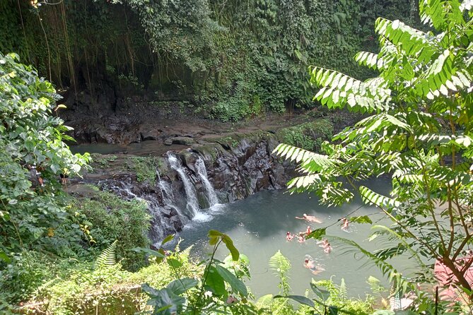 Penglipuran Village Waterfall Swing Private Guided Tour - Pickup From Seminyak: Private A/C, English Guide, and On-the-Day Flex