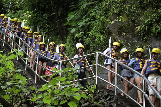 Premium White Water Rafting and Jungle Buggies in Bali - Lunch and the Mason Chocolate showroom stop