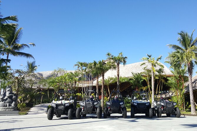 Premium White Water Rafting and Jungle Buggies in Bali - Pickup, timing, and the reality of a 5-hour schedule