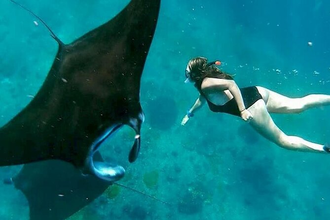 Private All Inclusive Nusa Penida Snorkeling and Tour - Key things to know before you go