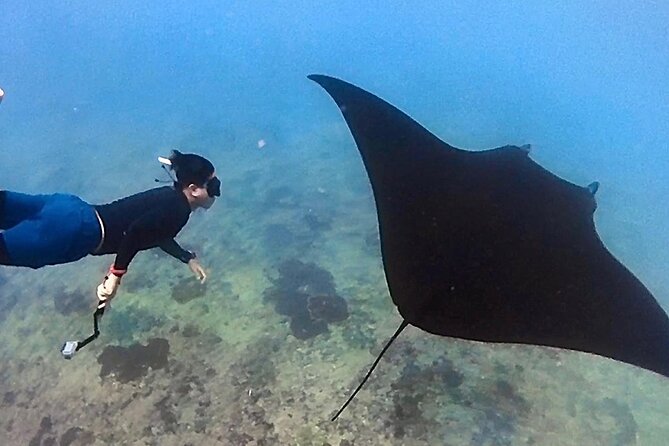 Private All Inclusive Nusa Penida Snorkeling and Tour - Snorkeling at Manta Point: why the 3-hour block is worth it