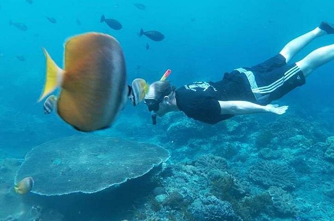 Private All Inclusive Nusa Penida Snorkeling and Tour - Kelingking Beach: the T-Rex cliff view plus a steep-stairs reality check