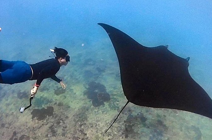 Private All Inclusive Nusa Penida Snorkeling and Tour - Who should book this Nusa Penida private snorkeling day?